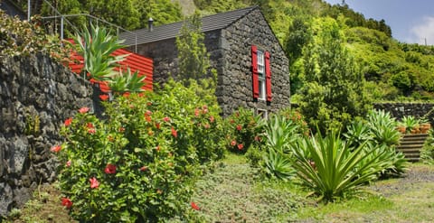 Property building, Garden, Garden view