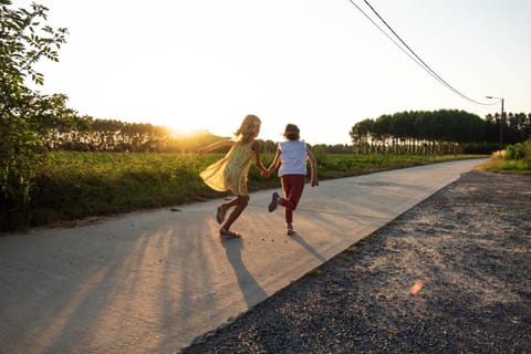 Neighbourhood, Natural landscape, Quiet street view