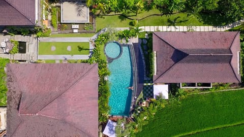 Property building, Spring, Day, Natural landscape, Bird's eye view, Garden, Garden view, Pool view, Swimming pool