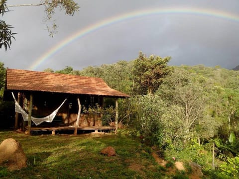 Patio, Garden, Balcony/Terrace