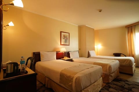 Swiss Inn Nile Hotel Hotel in Cairo Governorate
