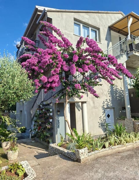 Property building, Spring, Garden view