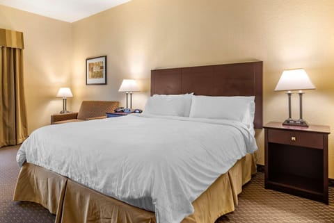 Comfort Inn & Suites Dahlonega University Area Hotel in Dahlonega