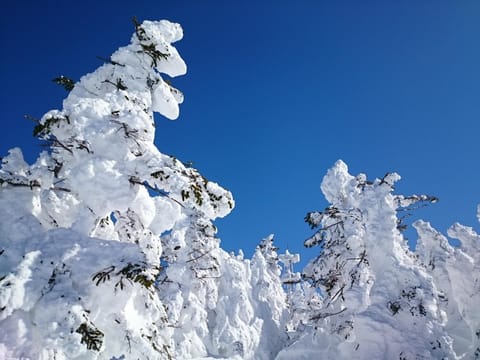 Natural landscape, Winter