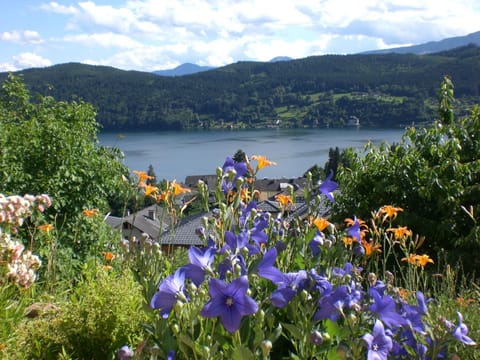 Lake view, Mountain view