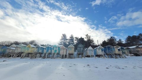 Neighbourhood, Natural landscape, Beach