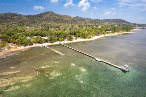 Bird's eye view, Beach, Location