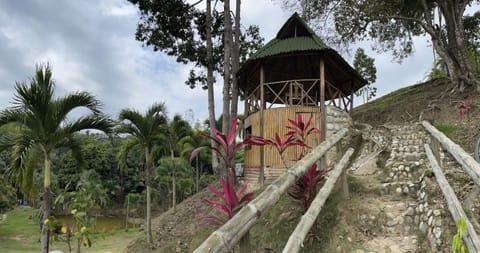 EcoHostal Palmares Del Rio Hostel in Magdalena, Colombia