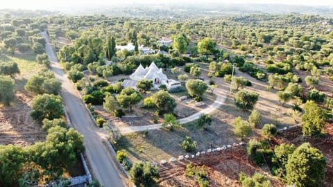 Trulli Eutopia House in Province of Taranto