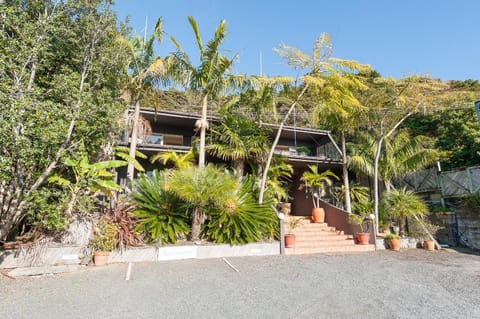 Bayswater Holiday Home Casa in Paihia