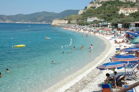Day, Beach, group of guests