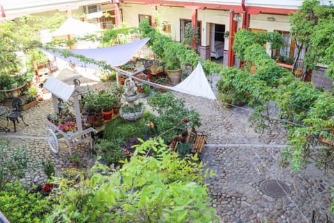 Inner courtyard view