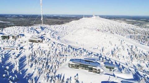 Natural landscape, Bird's eye view, Winter