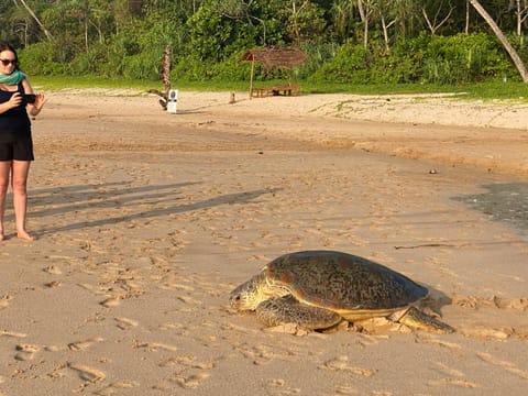 Talalla Bay Beach Hotel in Southern Province