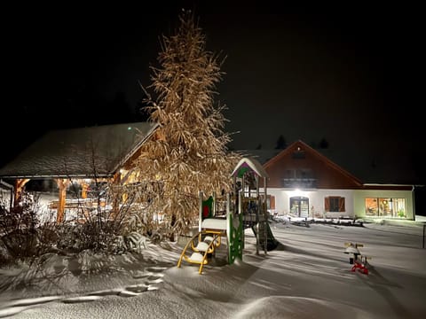 Property building, Night, Winter