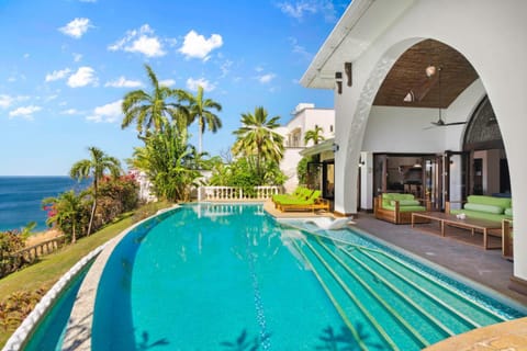 Ocean-View Flamingo Palace with Stone Courtyard and Giant Infinity Pool Maison in Playa Flamingo