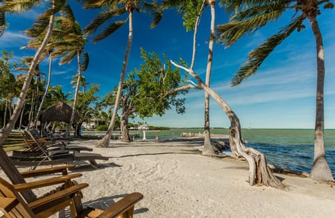 La Jolla Resort Locanda in Upper Matecumbe Key