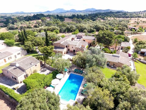 Bird's eye view, Garden, Floor plan