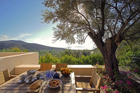 Garden, Balcony/Terrace, Seating area, Garden view, Sea view