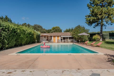 Day, Garden, Swimming pool, sunbed