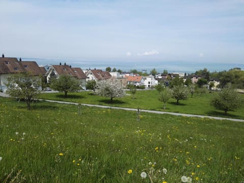 Day, Garden, Sea view