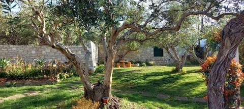 Natural landscape, Garden