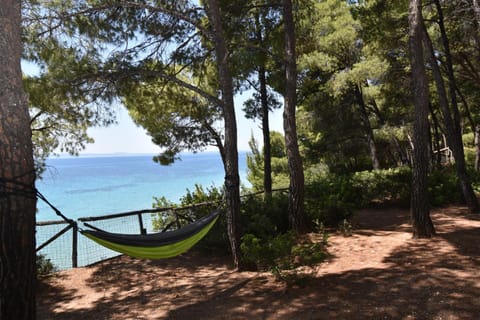 Squirrel Beach Front Villa, Metamorfosi House in Halkidiki