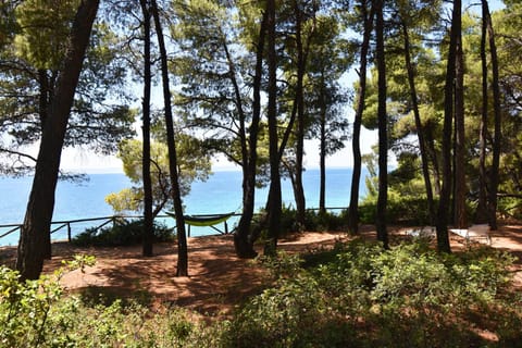 Squirrel Beach Front Villa, Metamorfosi House in Halkidiki