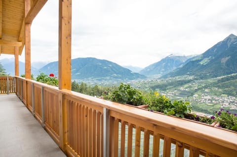 Patio, Balcony/Terrace