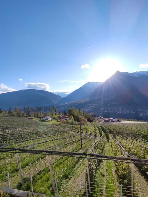 View (from property/room)