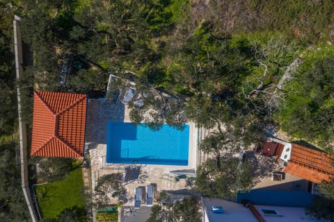 Apartment Glavina with private pool Apartment in Makarska