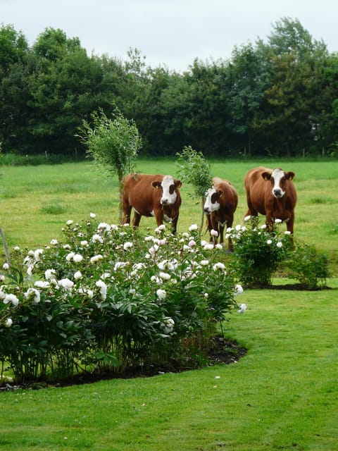 Landgoedlogies Pábema Bed and Breakfast in Friesland, Netherlands