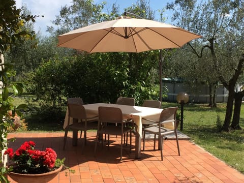 Garden, Garden view, Pool view