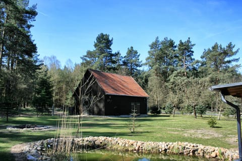 Area and facilities