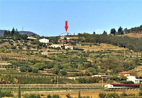 Valpolicella Hills Condo in Negrar di Valpolicella