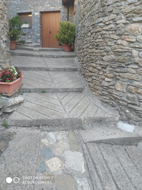 Casa Rogel Country House in Pallars Jussà