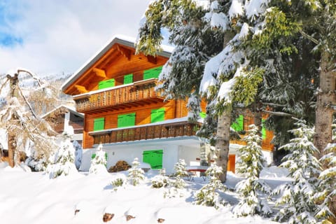 Facade/entrance, Winter, Garden