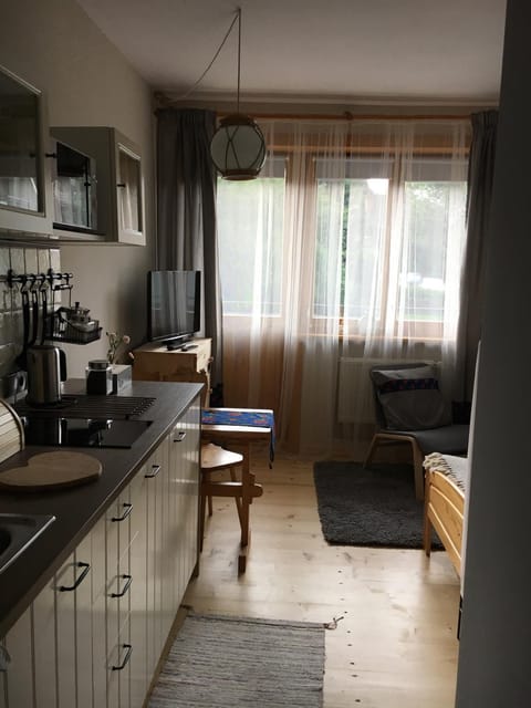 Kitchen or kitchenette, Photo of the whole room