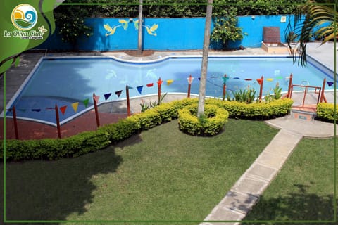 Garden, Garden view, Pool view, Swimming pool