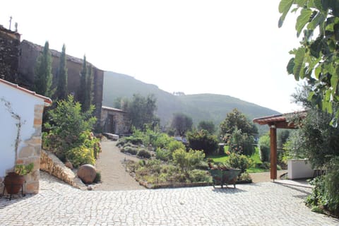 Garden, Balcony/Terrace