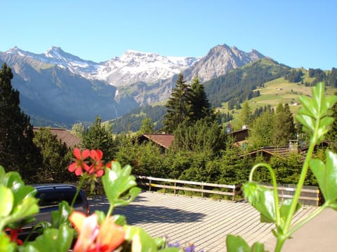 Apartment Sunnegruess by Interhome Appartement in Adelboden