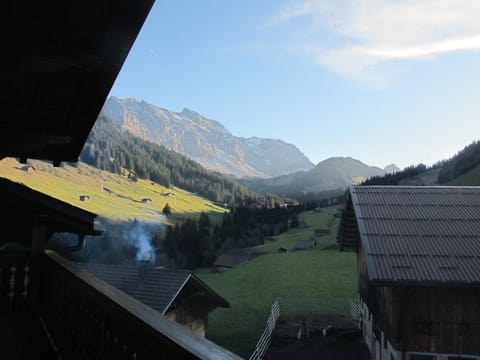 Apartment Gilbachhöckli 2 by Interhome Condo in Adelboden