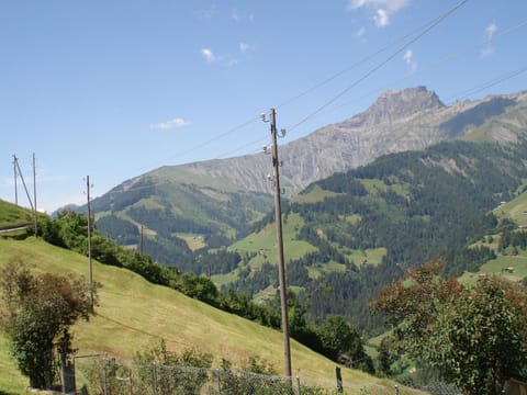 Apartment Bauernhaus Uf dr Flue by Interhome Apartment in Adelboden