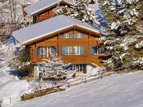 Chalet Arche by Interhome Chalet in Lauterbrunnen