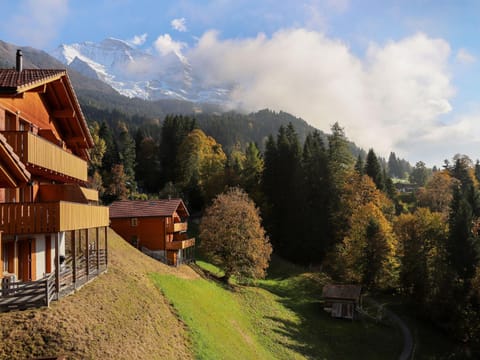 Apartment Racer's Retreat Apt-07 by Interhome Apartment in Lauterbrunnen