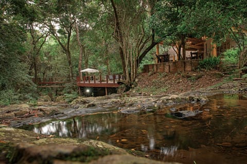 Serenity Mountain and Forest Lodge Capanno nella natura in South Africa