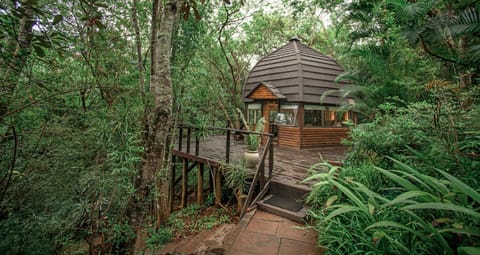 Serenity Mountain and Forest Lodge Lodge nature in South Africa