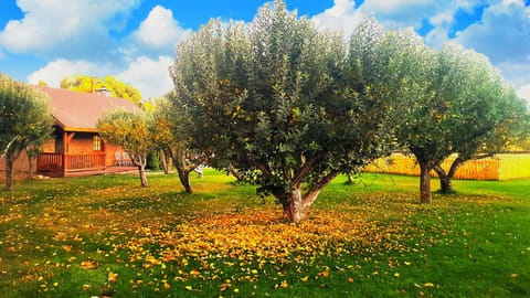 Arrowhead Country Cabins Estancia en una granja in Mount Carmel