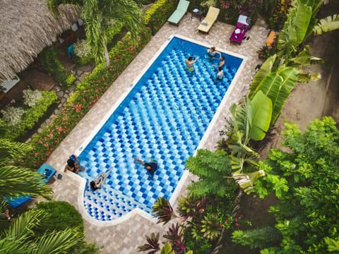 Spring, Day, Garden view, Pool view, Swimming pool, sunbed