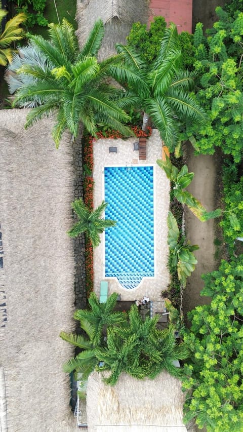 Day, Garden, Garden view, Pool view, Swimming pool